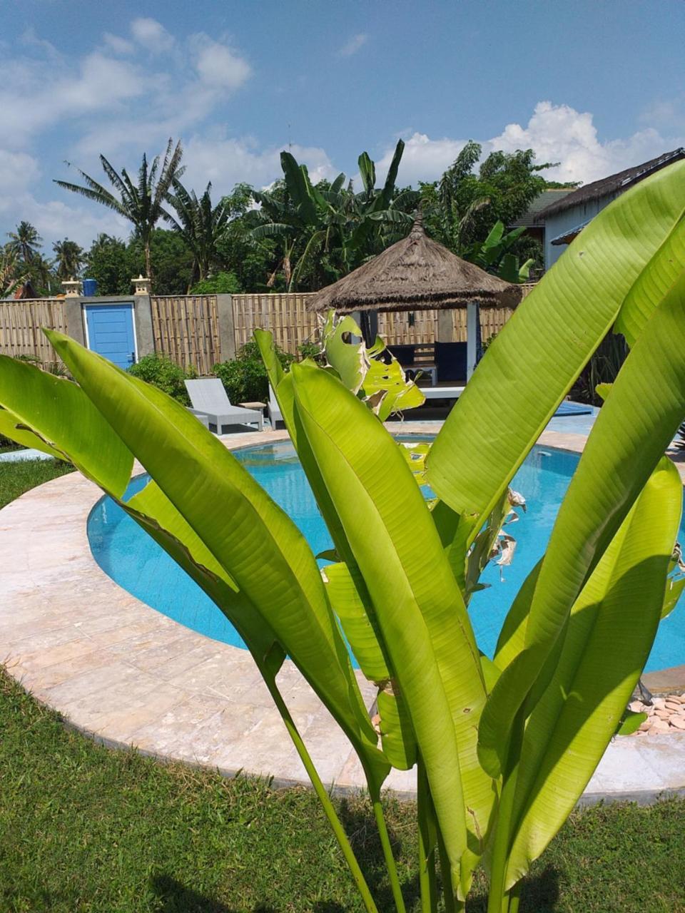 Casa Azzurra Bed & Breakfast กิลิไอร์ ภายนอก รูปภาพ